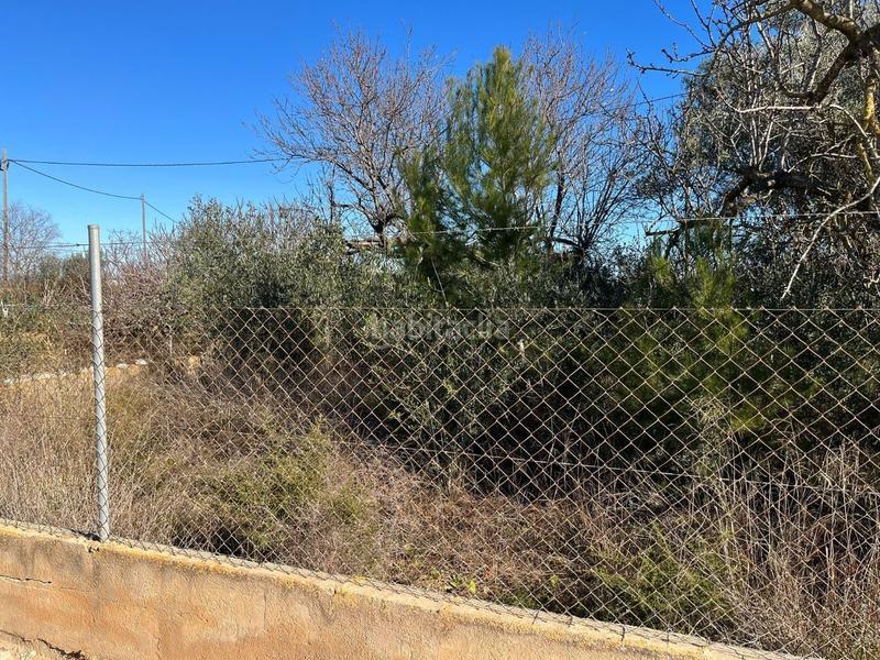 Foto dd4b6f30-b0fb-4e72-b86c-667f9fb372d4. Casale in Pueblo Benicarló