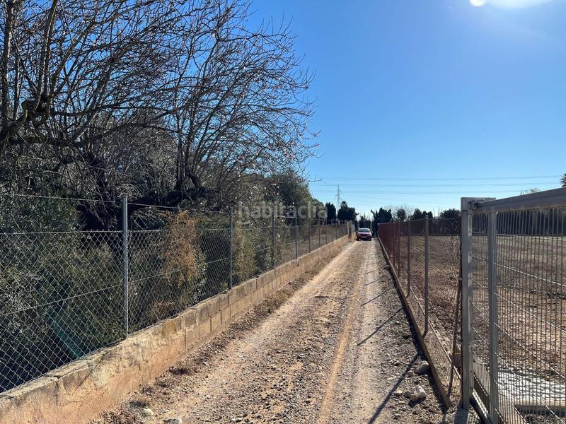 Foto b2d4a841-d4e4-4f92-bd9a-0de7cf6cd9c6. Mas dans Pueblo Benicarló