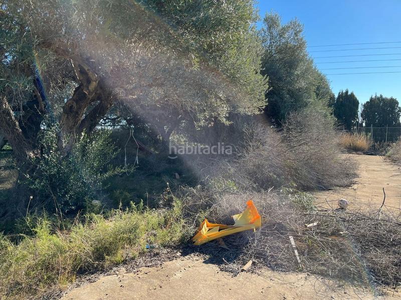 Foto f7f108de-42f7-432c-abc2-39b7bcedaa65. Masía en Pueblo Benicarló