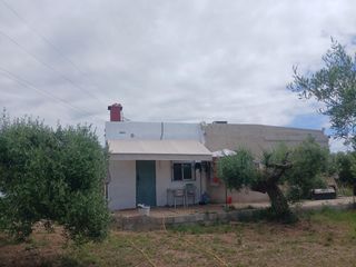 Masia  Polígono poligono 18. Finca rústica con dos viviendas, olivar, naranjos y energía sola