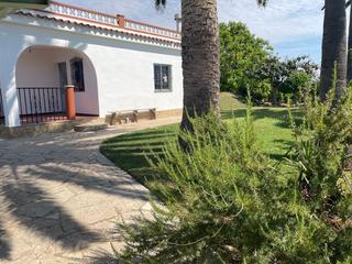Chalet  Camino moliners. Terreno de 16.000 m con casa y cultivo de naranjos y olivos.