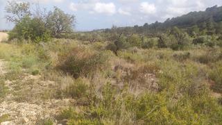 Rural plot in Polígono 14 24