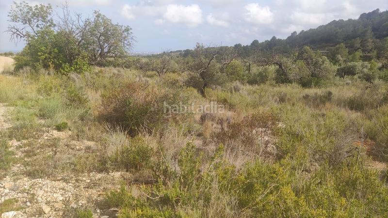 Foto 63781fcc-0a21-410c-969c-0aa3fa514998. Finca rústica en polígono 14 24 en Pueblo Benicarló