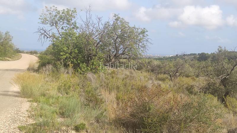 Foto c89657d5-f1cb-4755-9b0a-9862500af690. Finca rústica en polígono 14 24 en Pueblo Benicarló