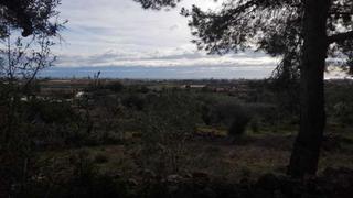 Landgut in Vía sense nom 438