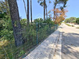 Finca rústica  Puigmal. Parcela en begues
