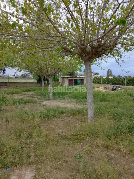 Foto 0e2a4737-7166-4bf5-82c0-bc2da9749ed1. Masia a Daya Nueva