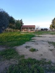 Bauernhof in Daya Nueva. Casa de huerta en daya nueva con amplio terreno