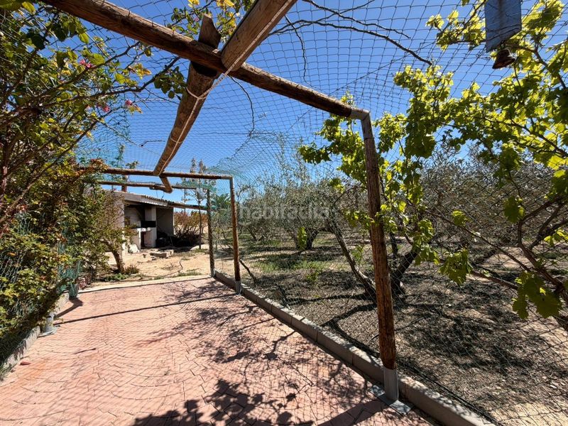 Foto 2c721c2d-30ae-497a-9454-1547ff2743b1. Xalet a Monforte del Cid