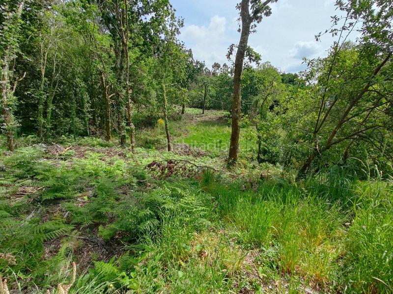 Foto 57385404-e339-471c-98a8-424101356226. Maison dans área de Ames Ames