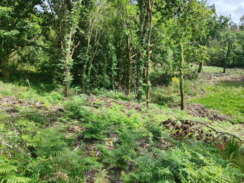 Foto a10a8847-e73f-4d86-a003-1e1367dca9f0. Maison dans área de Ames Ames