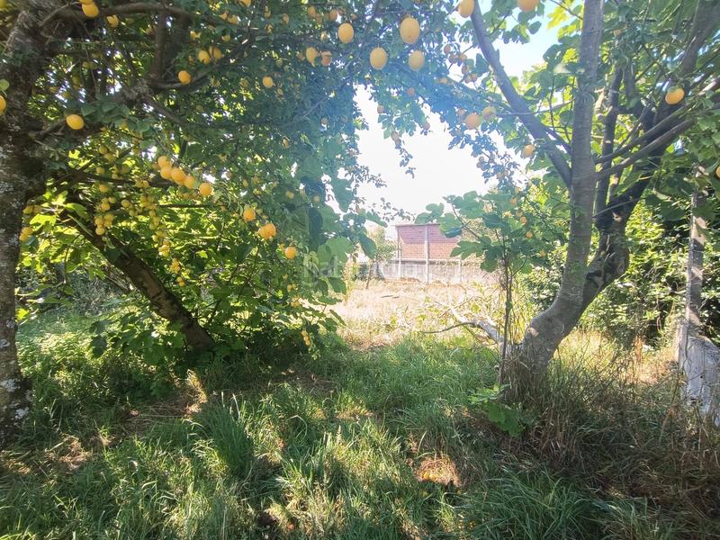 Foto 44b7a11e-35e3-4ffb-b892-91b979e5d2da. Casa amb aparcament a Trazo