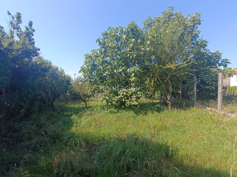 Foto c11e8e8f-3b7b-41ab-aa20-c32703398217. Casa amb aparcament a Trazo