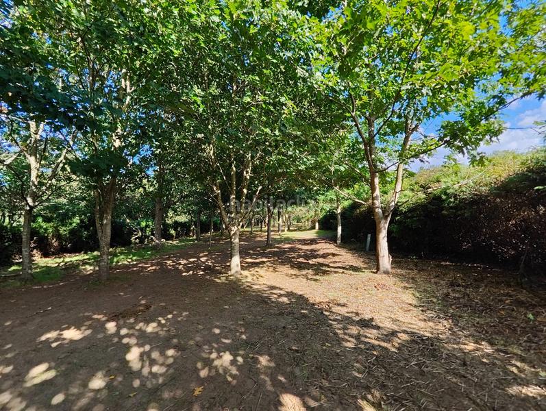 Foto 2d750b97-298e-4910-a330-90e8ac264c71. Haus in Teo