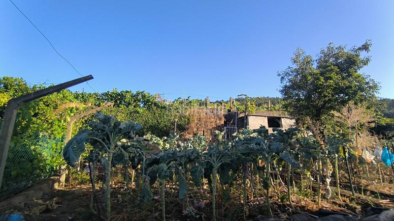 Foto 4c4f3af7-9b6f-444e-8929-03686fb1a4dd. Casa con parcheggio in Ribadavia