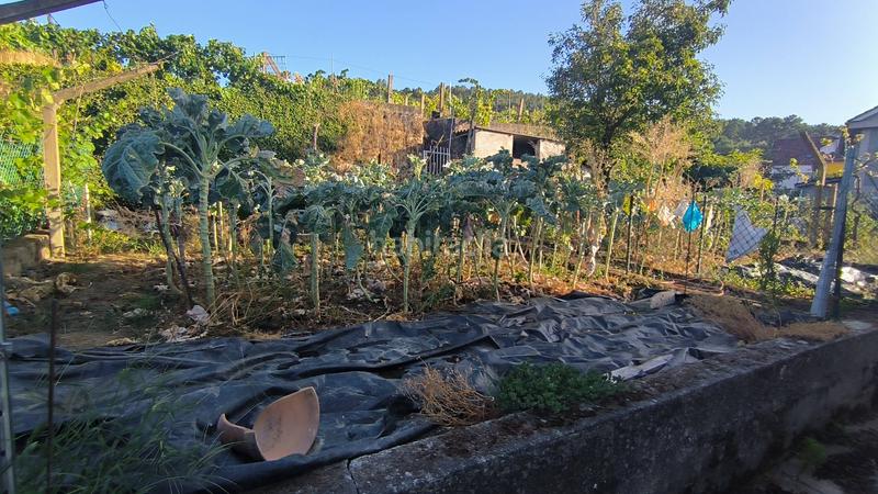 Foto c3dd47b5-44d2-4104-92d7-1342645160c2. Casa con parcheggio in Ribadavia