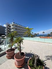 Apartamento en Zona Martiánez. Tu refugio soñado en puerto de la cruz, tenerife