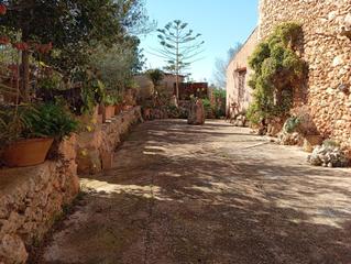 Masia a Algaida. Finca rústica en venta, 313 m construidos en 28.300 m de parcela