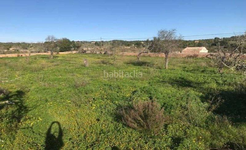 Foto 688c1b08-5d95-4c15-baea-45ed8efab42c. Masia a Llucmajor interior Llucmajor
