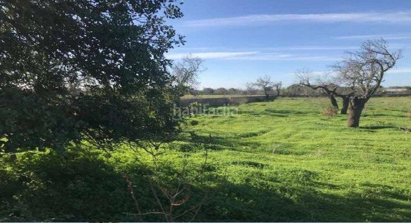 Foto c52cfb3a-31a9-4c81-90fb-c56268458ad3. Masia a Llucmajor interior Llucmajor