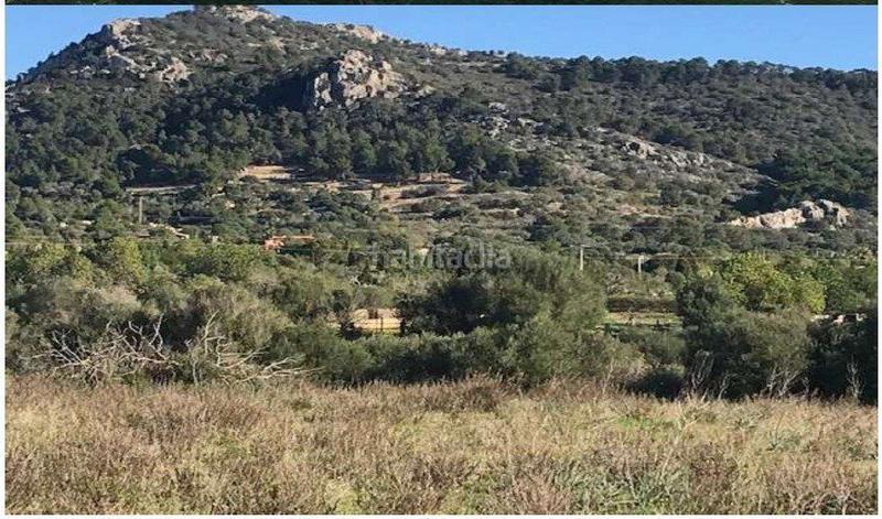Foto eb06f079-5393-4ee1-a33a-efc8e506869f. Masia a Llucmajor interior Llucmajor