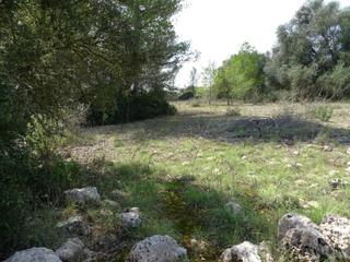 Propriété à Algaida. Terreno edificable sin proyecto