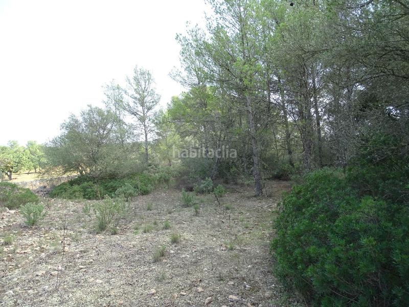 Foto 3aeea6d9-d1e6-4dfb-9d30-4c99aa3dbb31. Finca rústica terreno edificable sin proyecto en Algaida