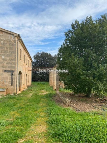 Foto 11eb66f5-b57a-437c-977a-ad9f7ab0b7f0. Casale con parcheggio in Algaida