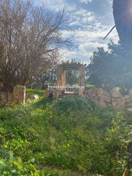 Foto ed6a94a2-0074-46f6-94e2-7a82bc5e5301. Casale con parcheggio in Algaida