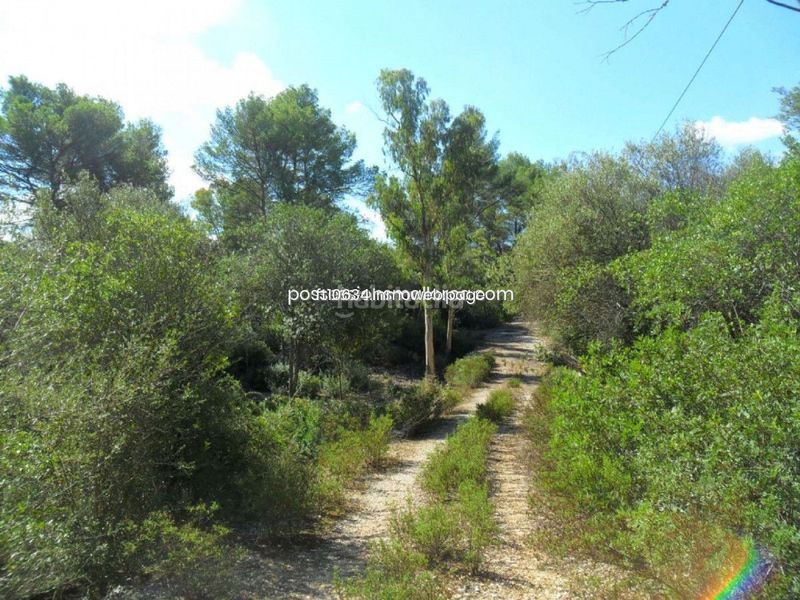 Foto 3a6465e0-c915-4cd3-9330-c1433c5cd857. Terreny residencial a Sencelles