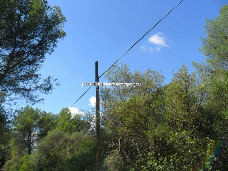 Foto 99640bf6-c3ca-49da-b776-75f0ba3c28e9. Terreny residencial a Sencelles