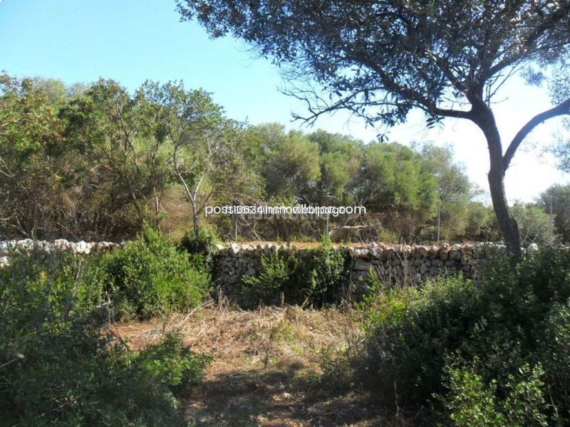 Foto a5b4e538-bf9b-4c50-902c-89cd2d897a64. Terreny residencial a Sencelles