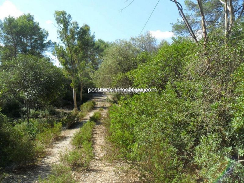 Foto 0a3f1c3e-cb9b-4409-a615-1d1278dc0261. Finca rústica gran finca rustica con proyecto en Sencelles