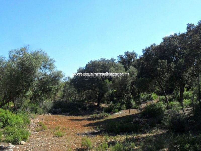 Foto 0b55c5e6-2887-4755-b09f-269ade6e2674. Finca rústica gran finca rustica con proyecto en Sencelles