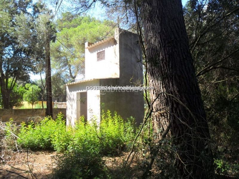 Foto 47831e2c-63d4-4bbe-b75f-008a036ef7c8. Finca rústica gran finca rustica con proyecto en Sencelles