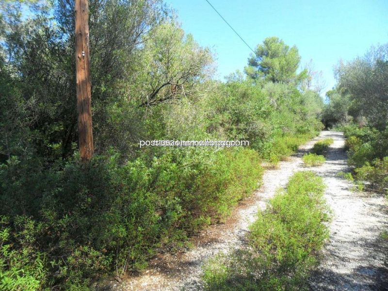 Foto e201dee7-e90b-496f-90f3-799145b2c136. Finca rústica gran finca rustica con proyecto en Sencelles