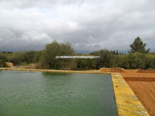 Maison à Zona Periurbana. Finca rustica en llubi, con luz de gesa, estanque y pozo