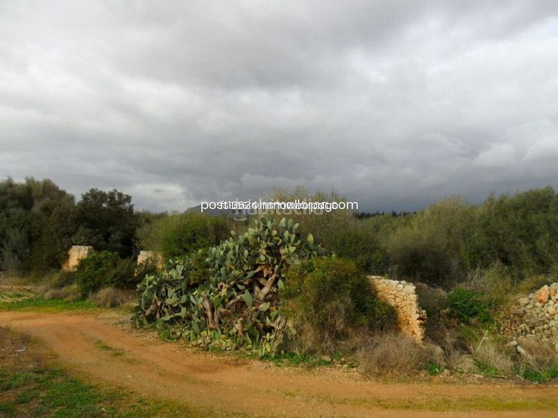 Foto a8885403-f5d5-4d40-ae21-be6865fa8d7d. Casa amb aparcament a Zona Periurbana Inca