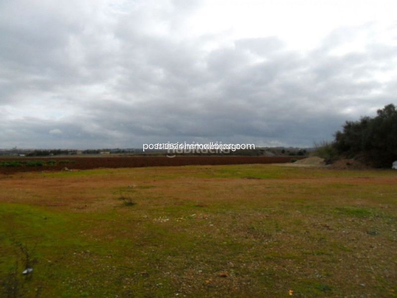 Foto b9017150-f8e5-421d-a6fc-880bd2ca944a. Casa amb aparcament a Zona Periurbana Inca