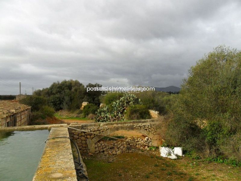 Foto bf4d8e3a-8357-4399-ba0f-a0c7cb6f9a3e. Casa amb aparcament a Zona Periurbana Inca