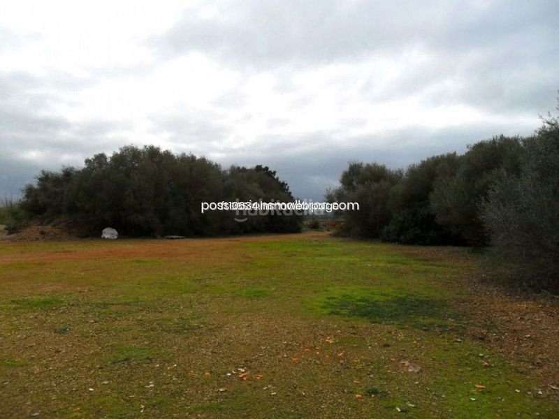 Foto ca50b8c8-75a6-4361-9162-3028acffabd5. Casa amb aparcament a Zona Periurbana Inca