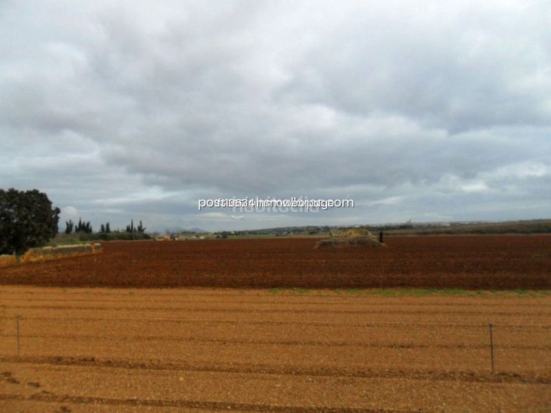 Foto e92564af-89f4-450c-9bfd-3ddf99dcfaf7. Casa amb aparcament a Zona Periurbana Inca
