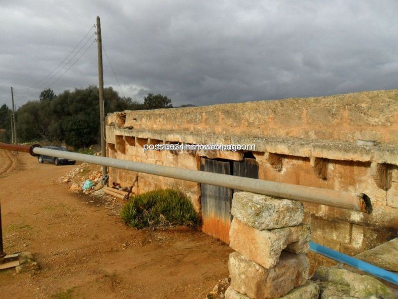 Foto e9e67d1f-1b5c-464c-abdd-08bdd36d6b93. Casa amb aparcament a Zona Periurbana Inca