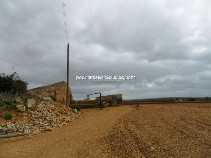 Foto f2a73813-4703-4e69-98f0-ae19ff11447e. Casa amb aparcament a Zona Periurbana Inca