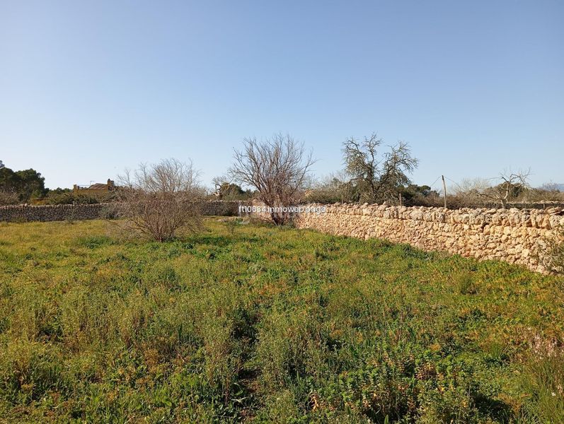 Foto 097fa021-192f-44ab-b8fd-27a7b2e4055e. Casa amb aparcament a Algaida