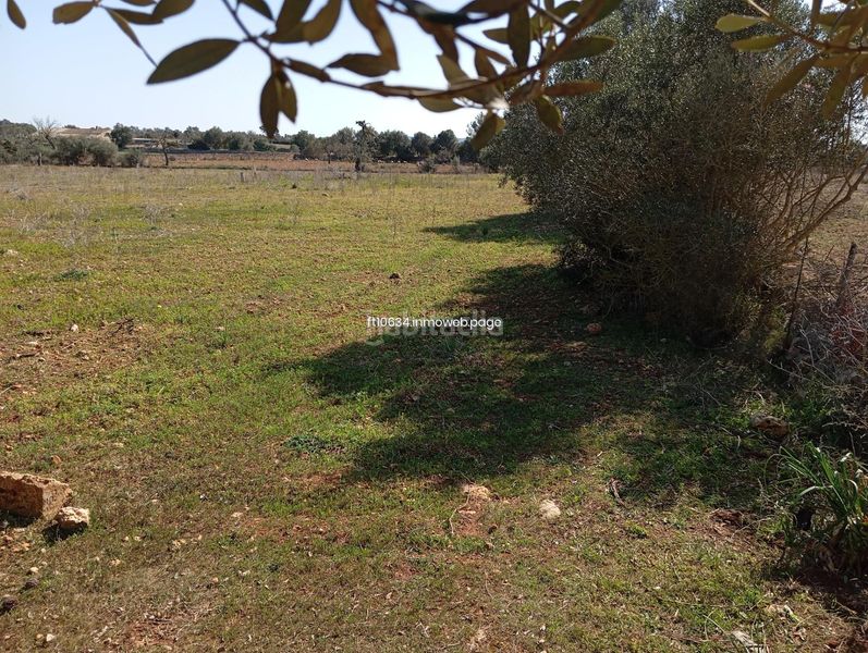 Foto 1eab6a0b-6d6f-4be1-844b-dc2d0ec1ea99. Casa amb aparcament a Algaida