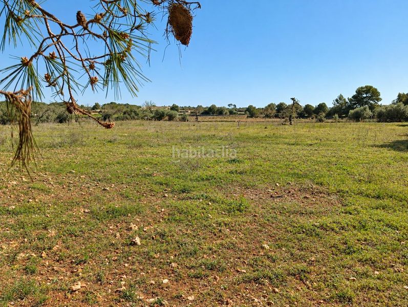 Foto 6be8d75d-2293-4586-b4a8-dda07bb9b7fa. Casa amb aparcament a Algaida