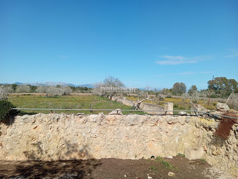 Foto 8b839828-3f8c-4eed-af8c-59239606b8e4. Casa amb aparcament a Algaida