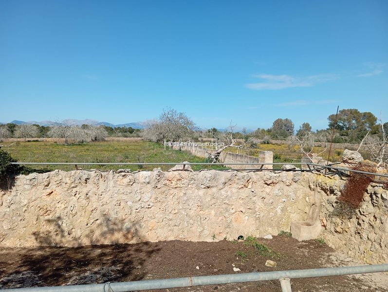 Foto 938798c5-e805-48b9-9223-7c568941fa94. Casa amb aparcament a Algaida