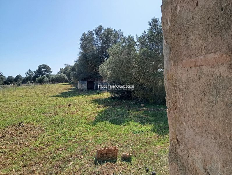 Foto 9a817ed1-2577-49d1-84ae-c8a675bfc06e. Casa amb aparcament a Algaida